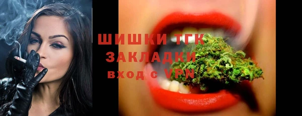 сатива Протвино