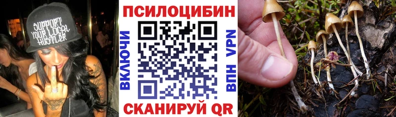 Псилоцибиновые грибы Psilocybine cubensis  Алатырь 